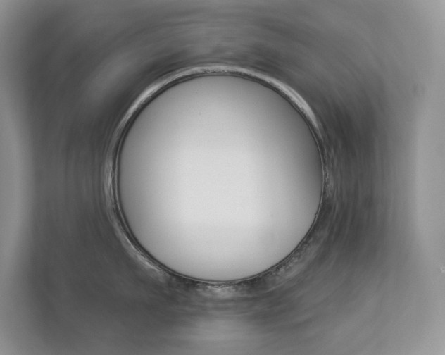 X0000112840911200908210956