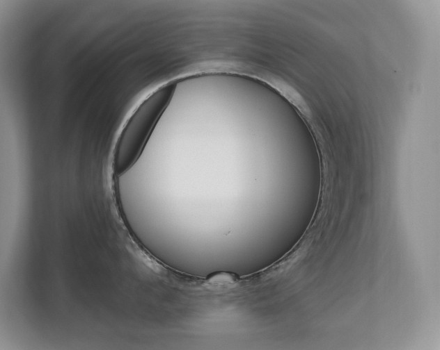 X0000112840912200908210956
