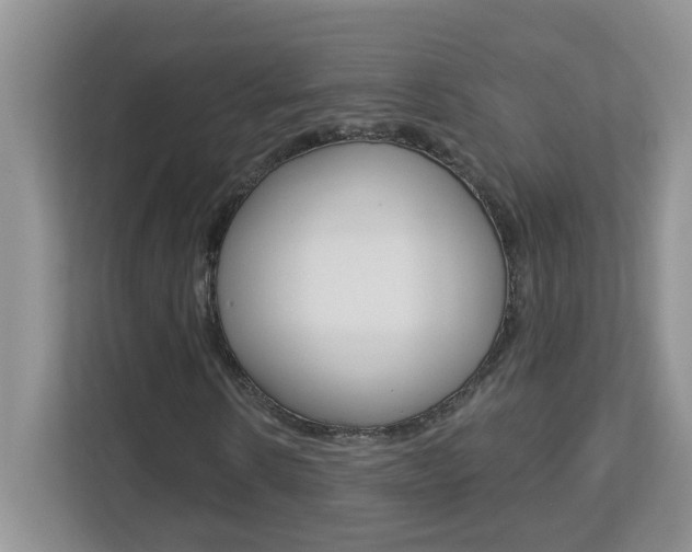 X0000112840914200908210955