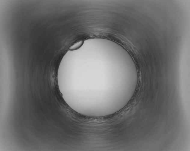 X0000112840915200908210955