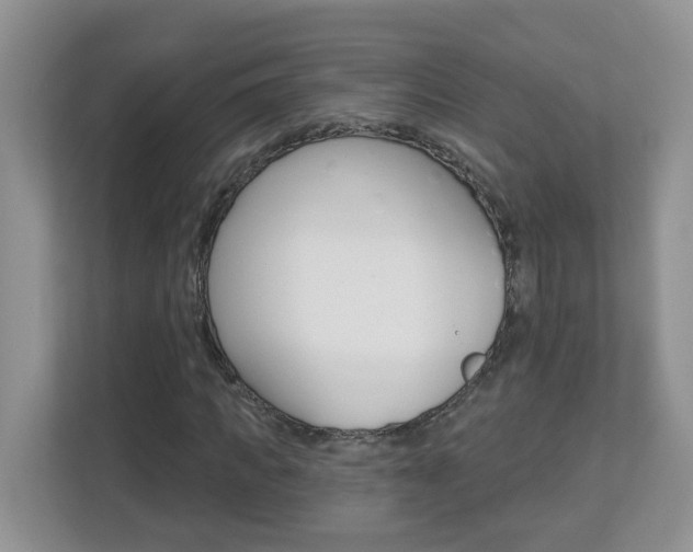 X0000112840917200908210955