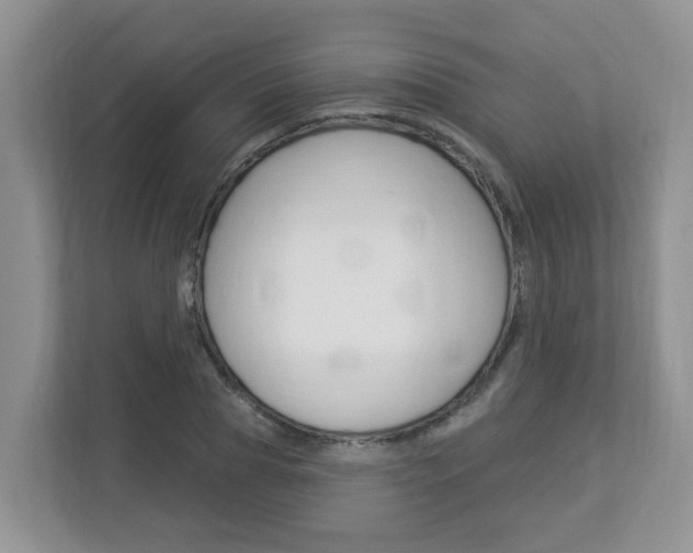 X0000112840929200908210956