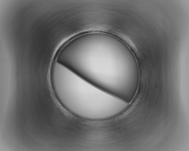 X0000112840936200908210956