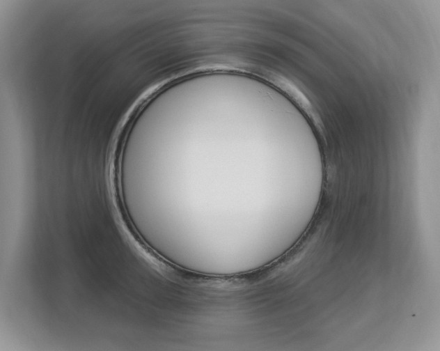 X0000112840947200908210956