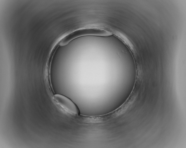 X0000112840952200908210956