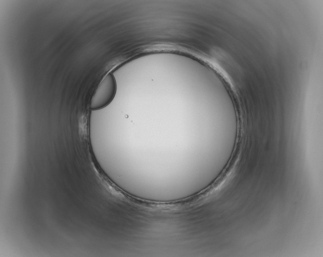 X0000112840953200908210956