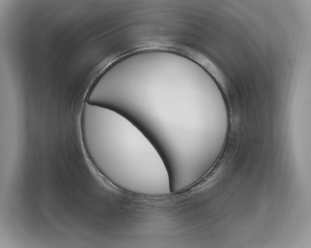X0000112840954200908210956
