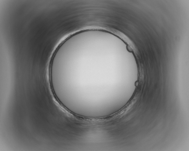 X0000112840958200908210956
