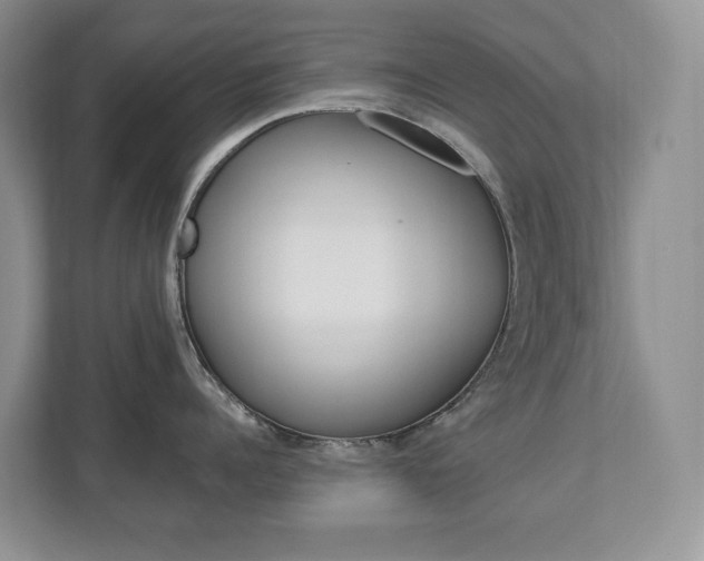 X0000112840960200908210956
