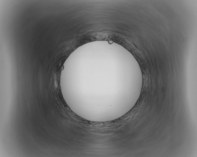 X0000112840962200908210955