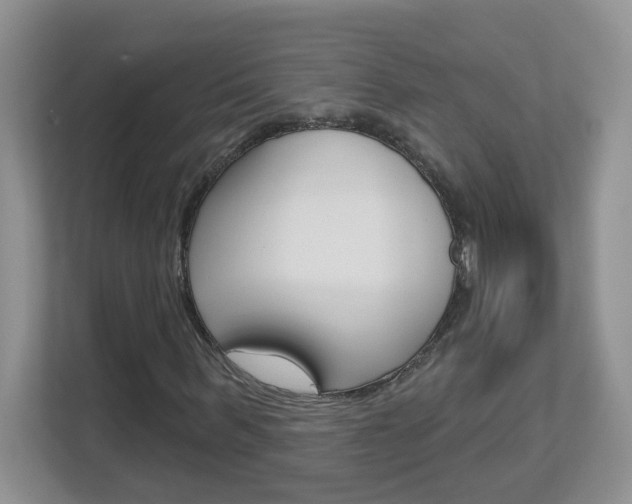 X0000112840963200908210955