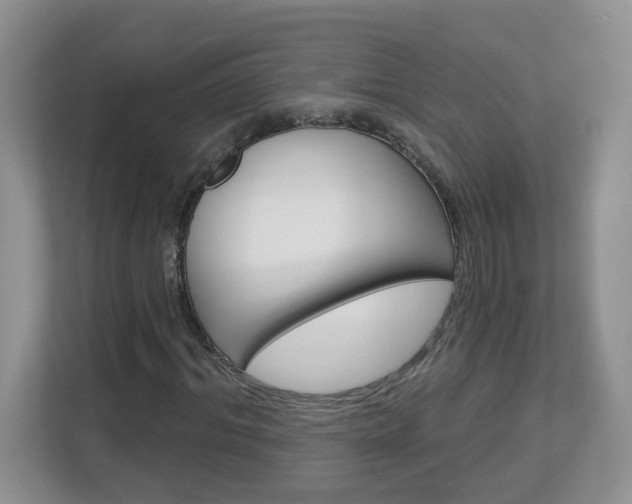X0000112840964200908210955