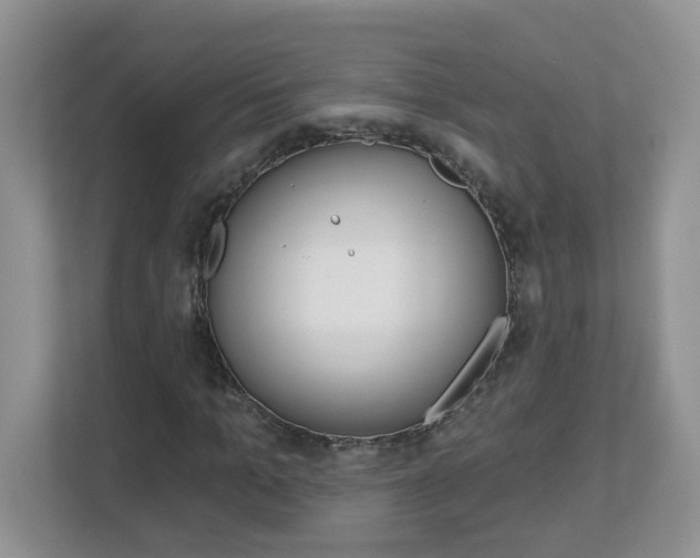 X0000112840965200908210955