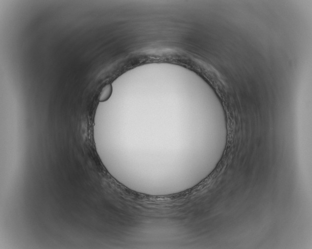 X0000112840966200908210955
