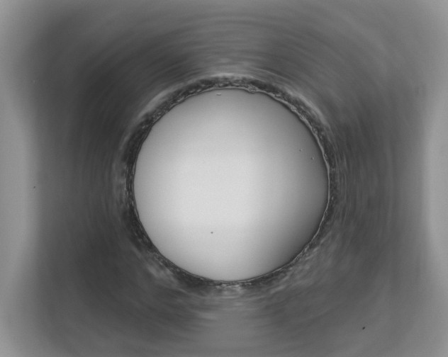 X0000112840968200908210955