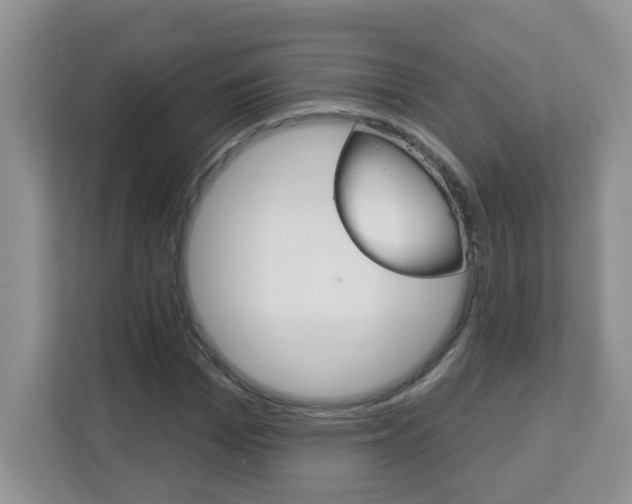 X0000112840969200908210955
