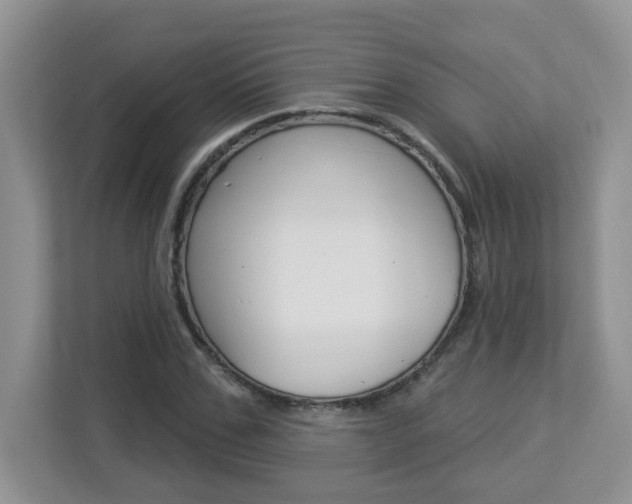 X0000112840971200908210955