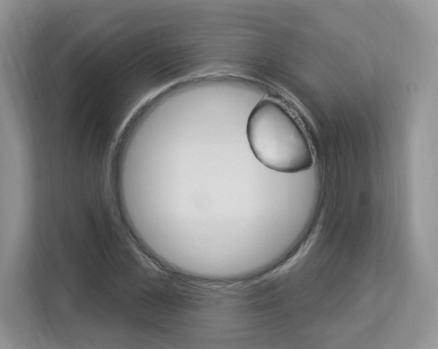 X0000112840973200908210955