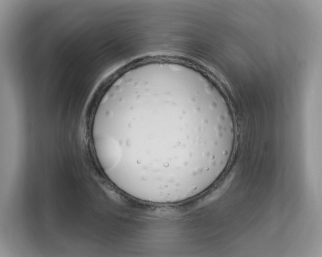 X0000112840974200908210955