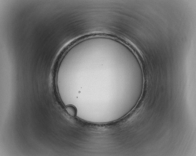 X0000112840975200908210955