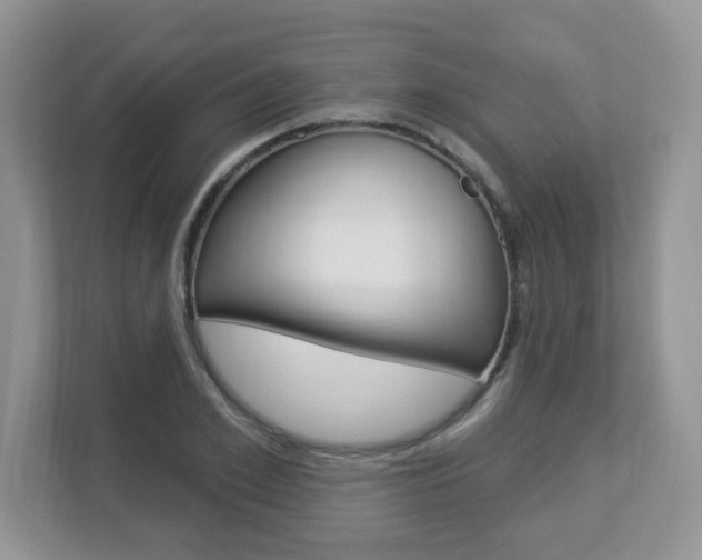 X0000112840981200908210955