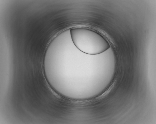 X0000112840985200908210955