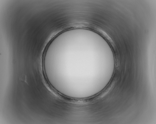 X0000112840986200908210955