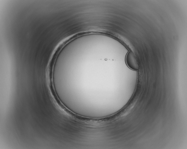 X0000112840987200908210955