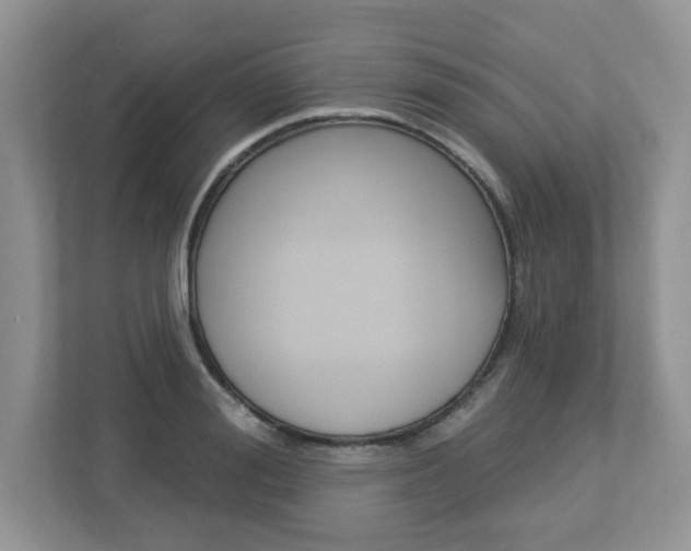 X0000112840988200908210955