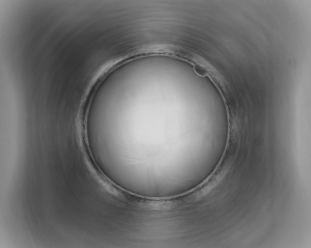 X0000112840989200908210955