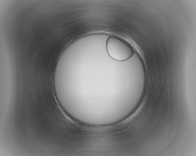 X0000112840993200908210955