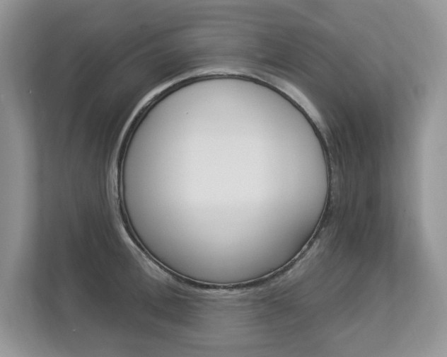 X0000112840996200908210955