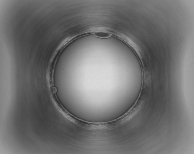X0000112840997200908210955