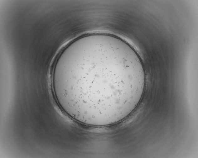 X0000112840998200908210955