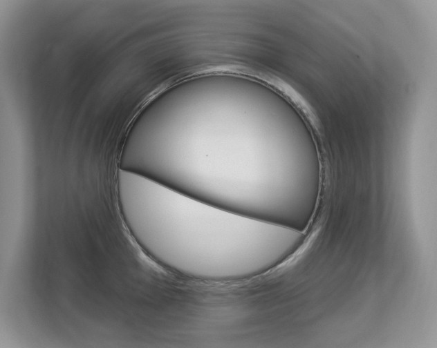 X0000112841001200908210955