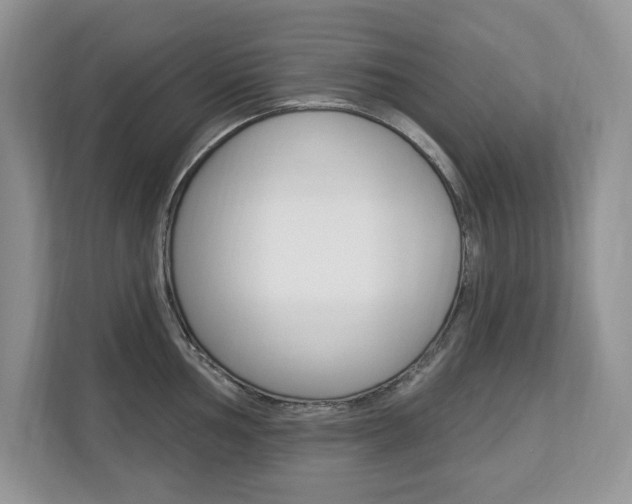 X0000112841002200908210955