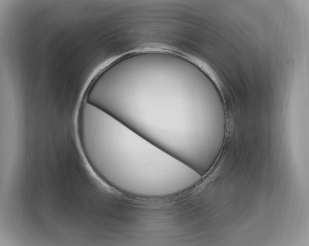 X0000112841003200908210955
