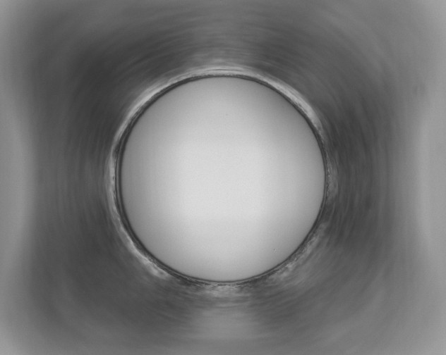 X0000112841006200908210955