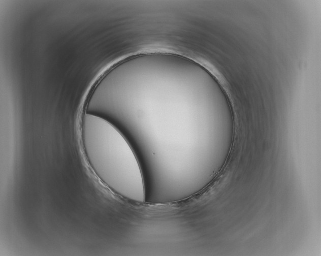 X0000112841008200908210955