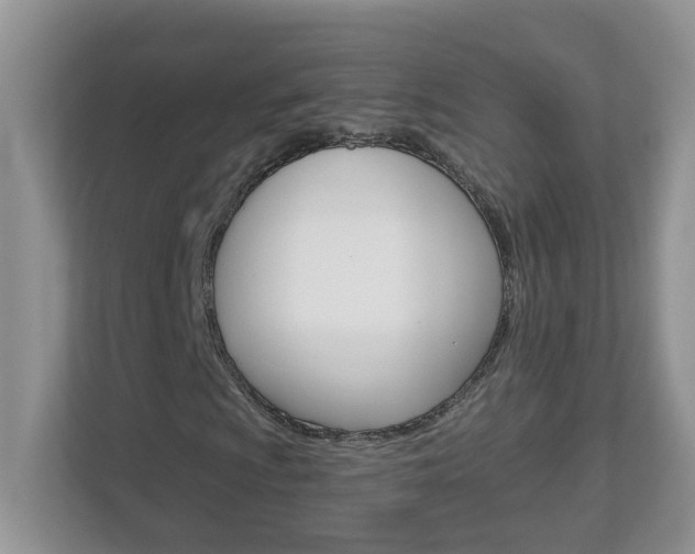X0000112841009200908210954