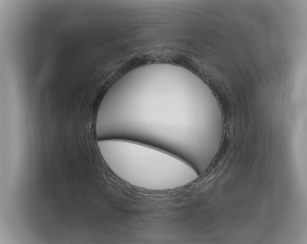 X0000112841010200908210954