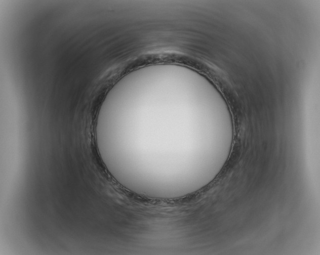 X0000112841014200908210954
