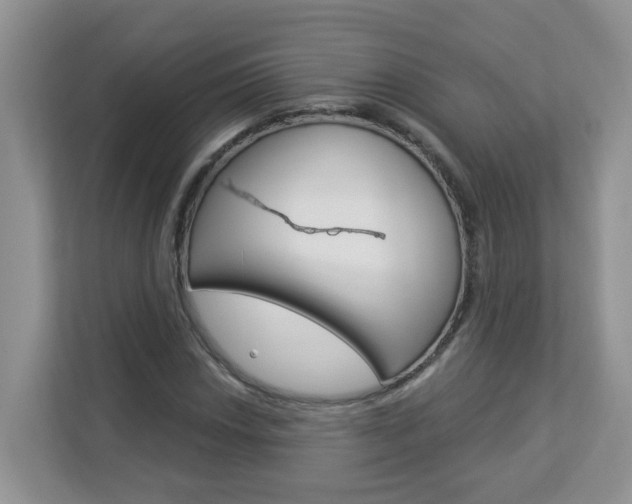 X0000112841018200908210954