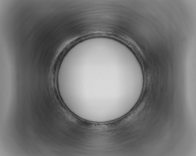 X0000112841019200908210954