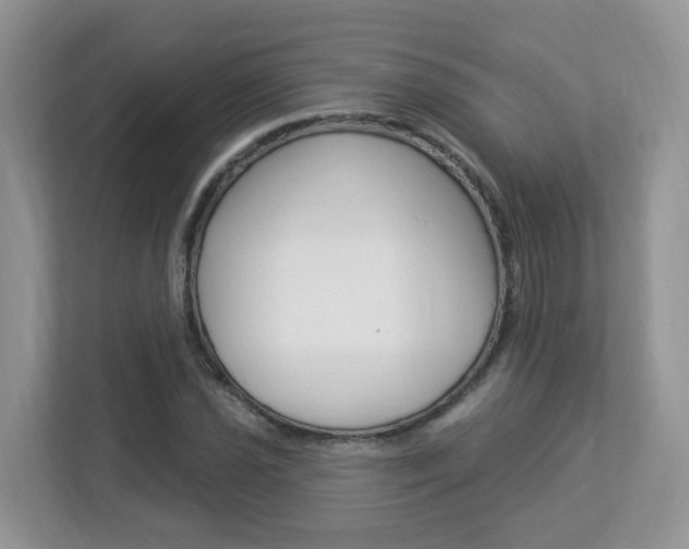 X0000112841021200908210954