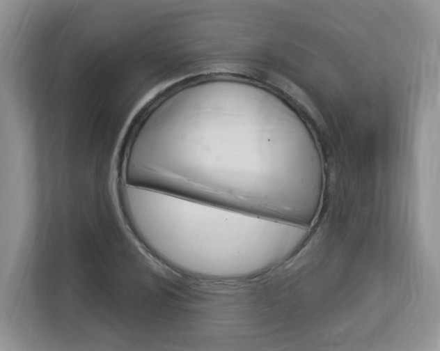 X0000112841024200908210954