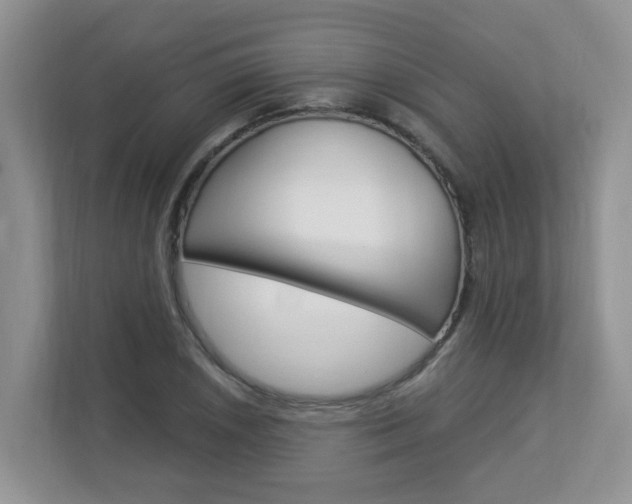 X0000112841026200908210954