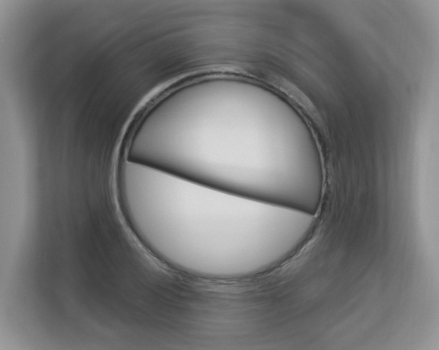 X0000112841028200908210954