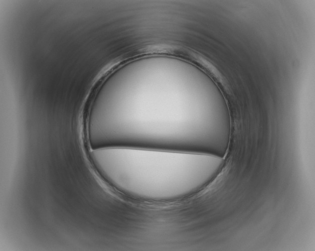 X0000112841034200908210955