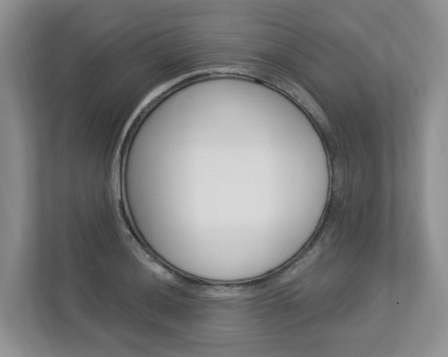X0000112841036200908210955